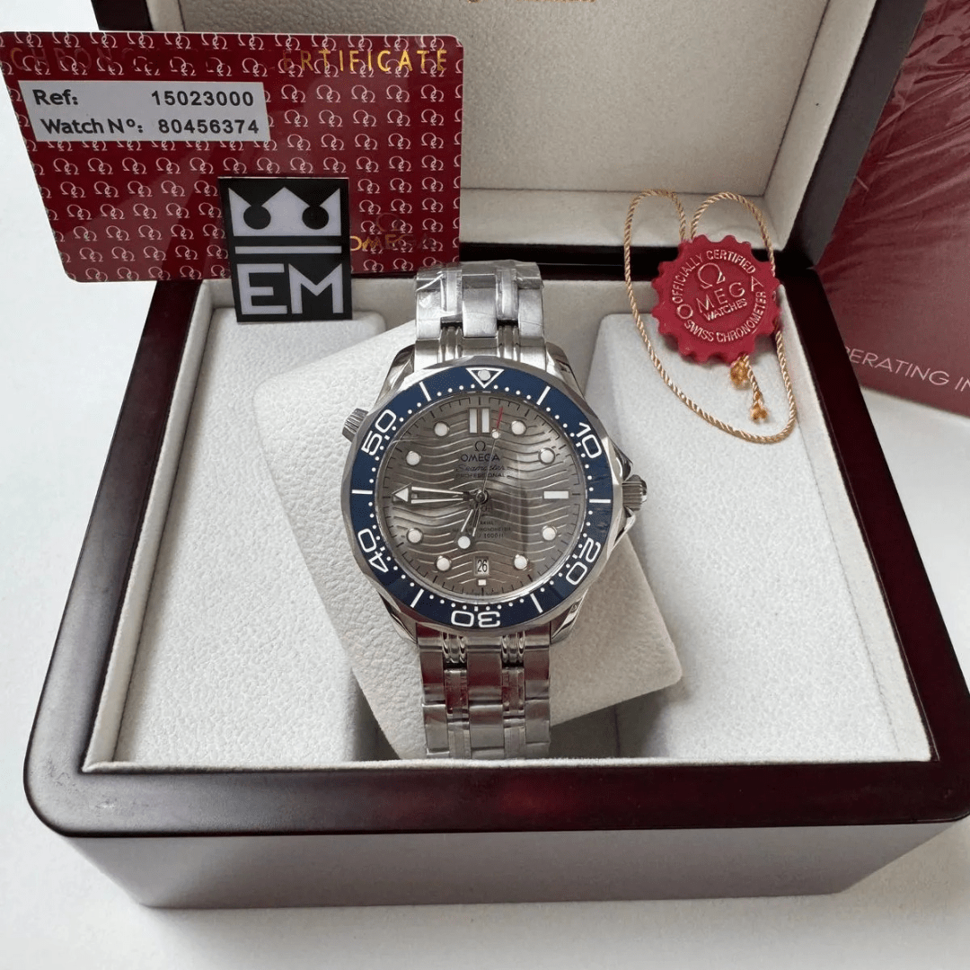 Omega Seamaster Professional – Gray/Blue